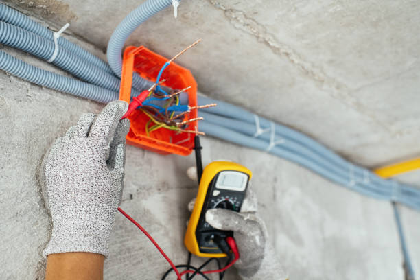 Best Electric Panel Repair  in Chetopa, KS